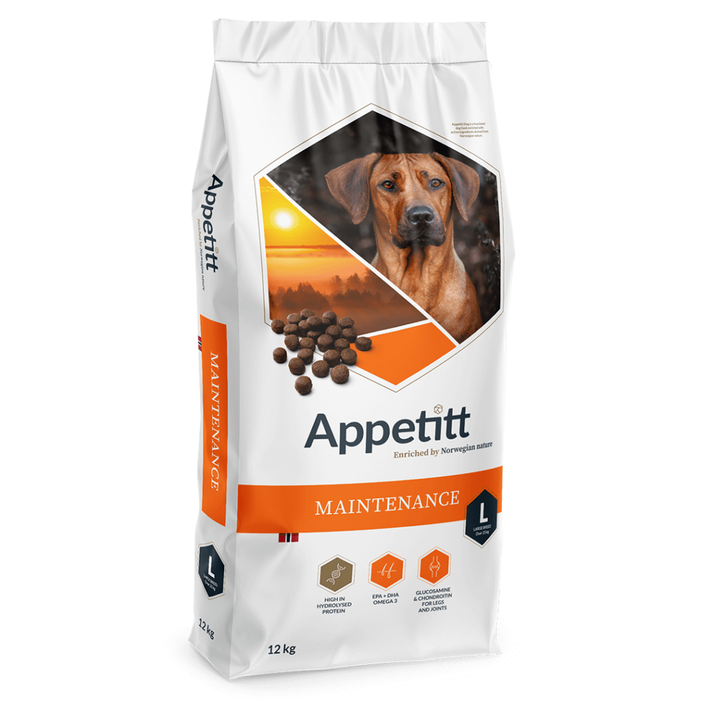 Hundefor: Appetitt Maintenance Large 12kg, hvit og oransje sekk, brun hund