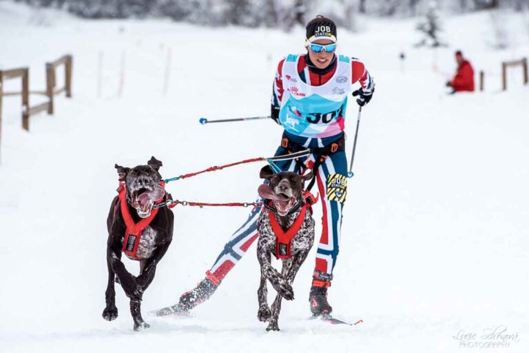 Profesjonell hundekjører og Appetitt ambassadør Karoline Conradi Øksnevad skøytende på ski bak hunder som løper i full fart i konkurranse.