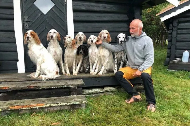 Appetitt ambassadør Petter Steen fra Kennel Valera sitter på stabburstrappa sammen med sine 8 fuglehunder - alle hvite, med innslag av brunt eller svart i pelsen.