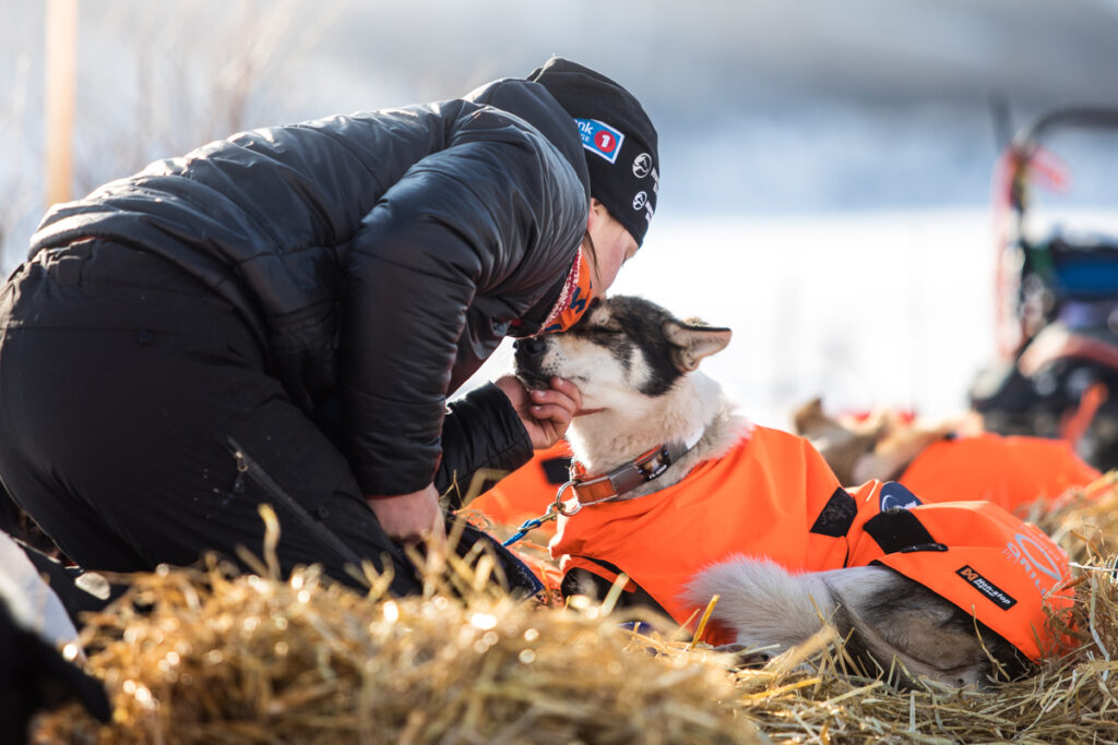 Hundekjører og Appetitt ambassadør Marit Beate Kasin kysser sin Alaska Husky på hodet etter ett løp. Hunden ligger i høy med varmedekken på.