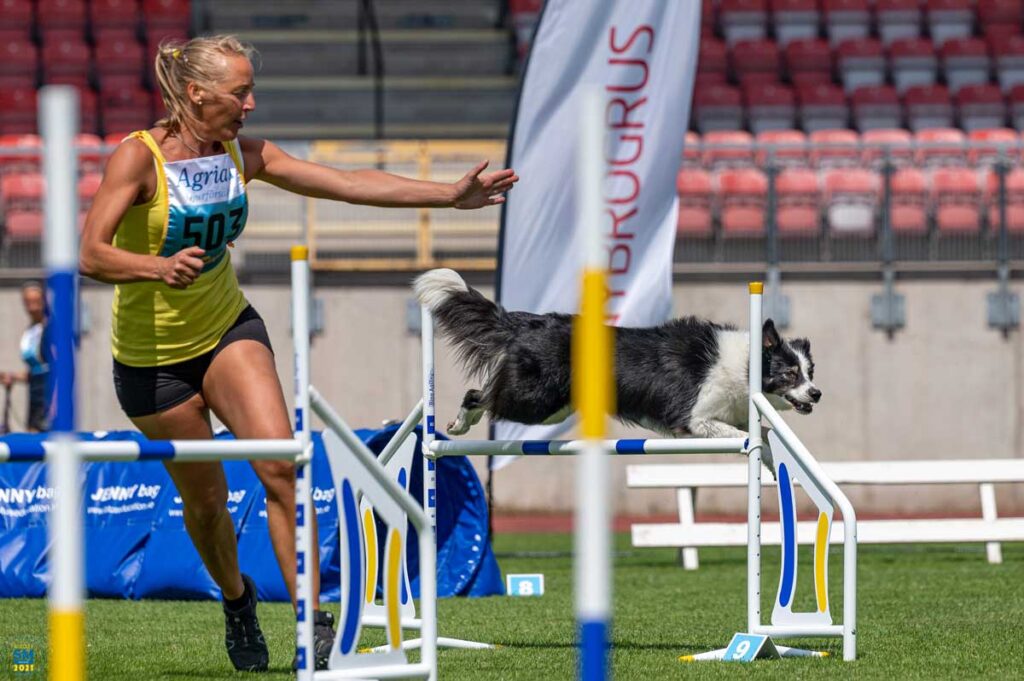 Agility-fører Mia Nilsson løper og gir kommando til en hvit og sort border collie som er i luften over et hinder under agility konkurranse. Mia er del av Team Appetitt Agility.