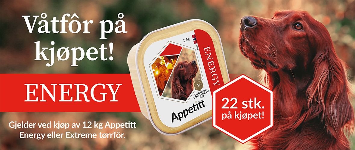 Appetitt-jaktkampanje--banner-1180x500-hjemmeside