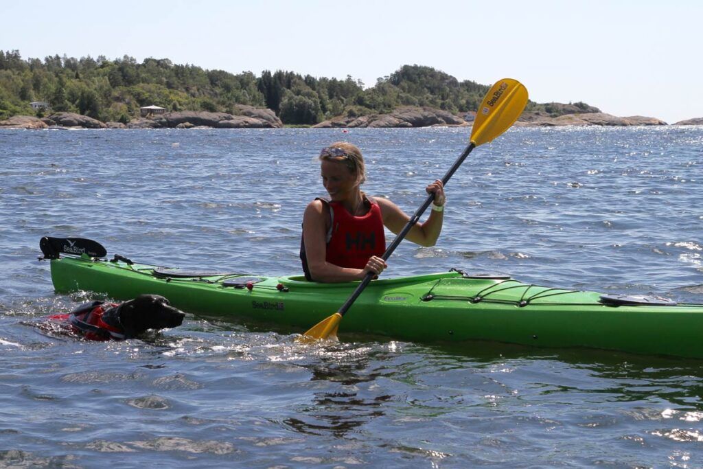 Appetitt ambassadør Karoline Conradi Øksnevad i grønn kajakk på vannet, med hund iført redningsvest svømmende ved siden av. Svømming er god sommertrening med hund.